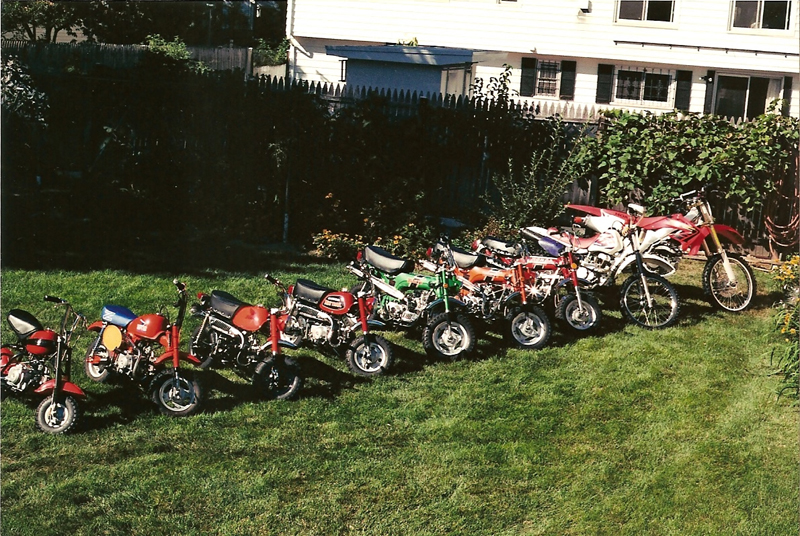 yard bikes 10009