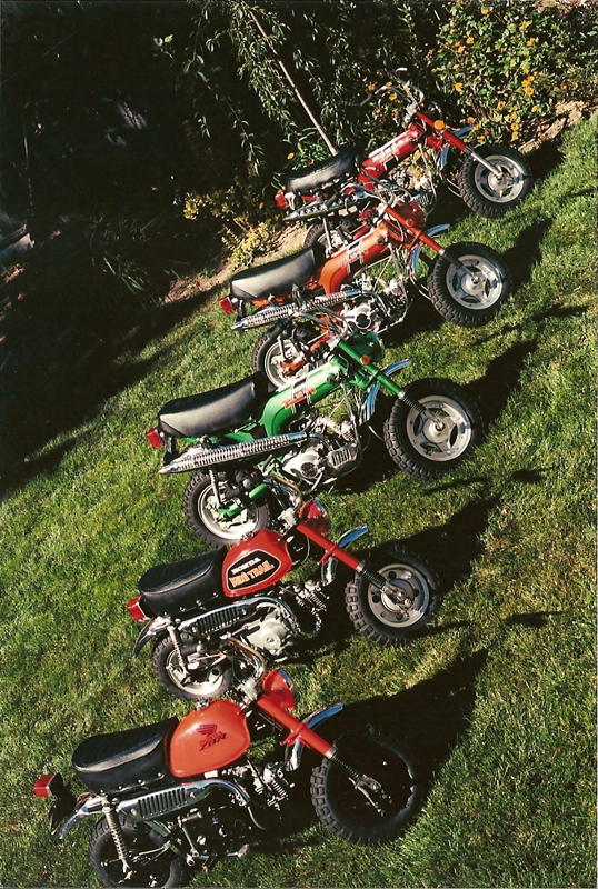yard bikes 10001